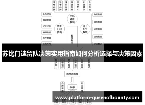 苏比门迪留队决策实用指南如何分析选择与决策因素