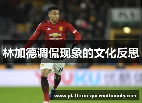 林加德调侃现象的文化反思