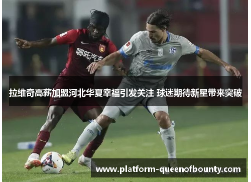 拉维奇高薪加盟河北华夏幸福引发关注 球迷期待新星带来突破