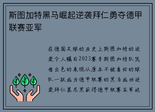 斯图加特黑马崛起逆袭拜仁勇夺德甲联赛亚军 斯图加特黑马崛起逆袭拜仁勇夺德甲联赛亚军
